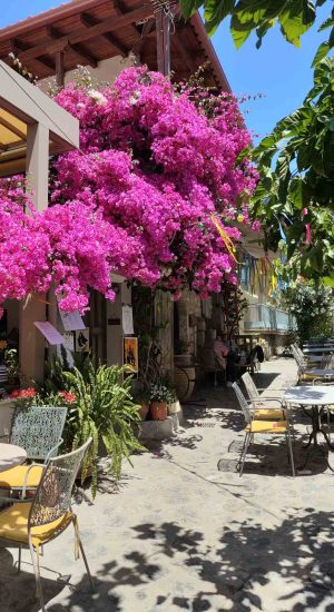 kalamata_4